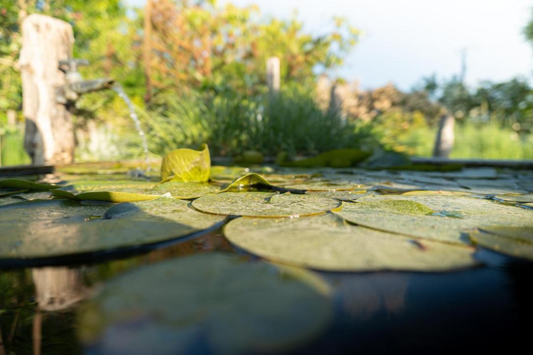 Les Jardins Des Soussilanges Bed & Breakfast Ceron Exterior photo